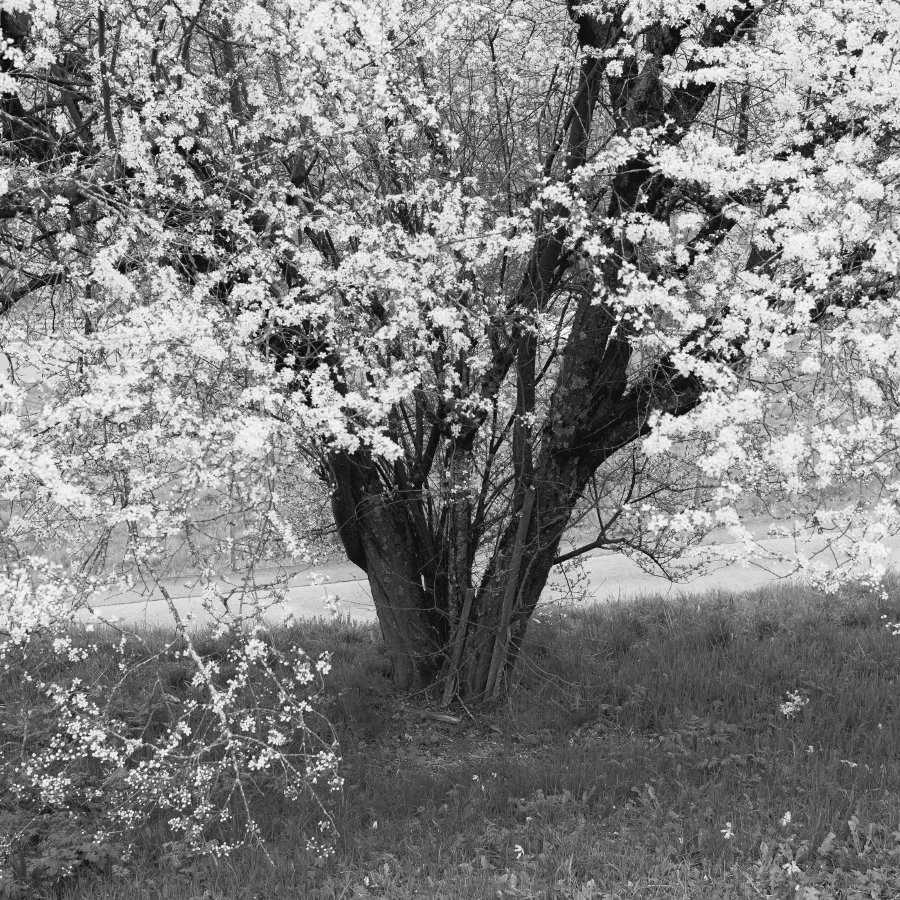 28032025-IMG_1066