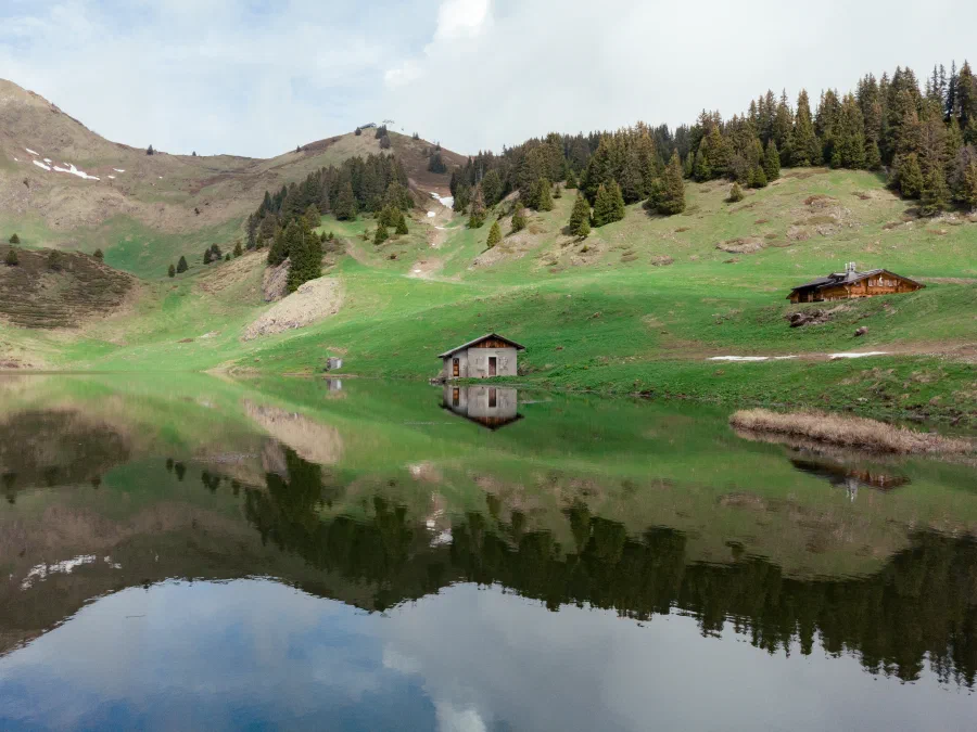 04052025-DJI_0120