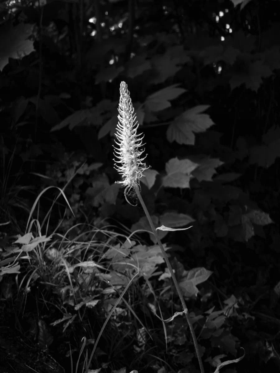14052026-IMG_3107
