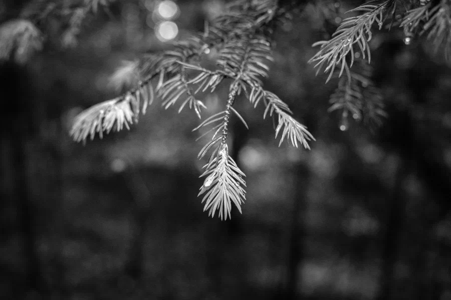 15052026-IMG_9197