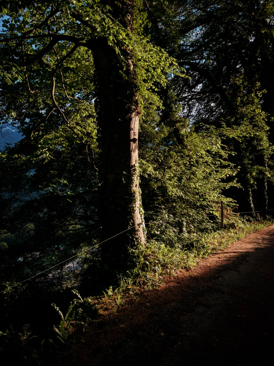 12052026-IMG_3077