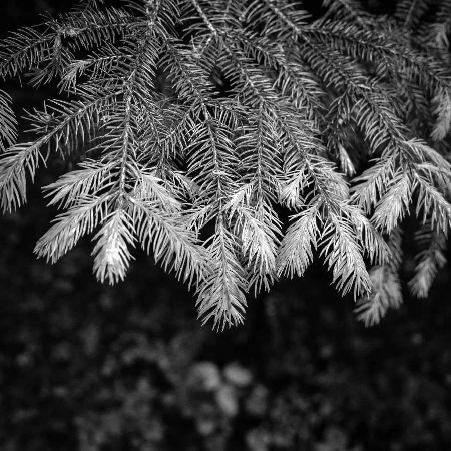 15052026-IMG_9195