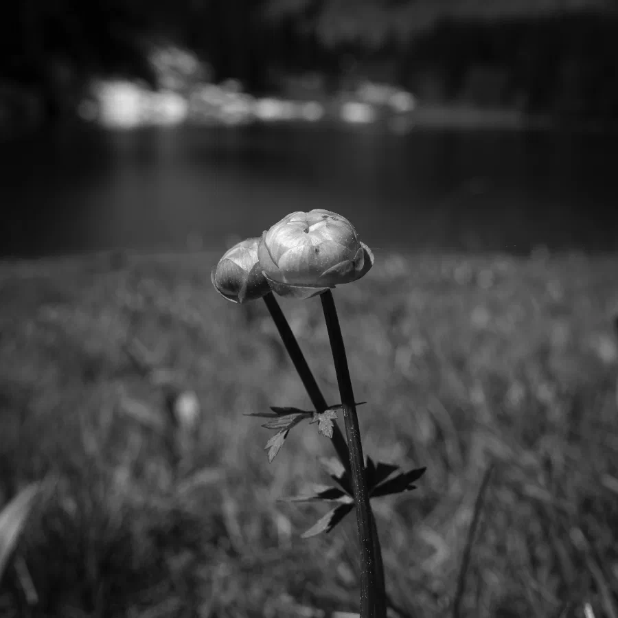 24052026-IMG_9326