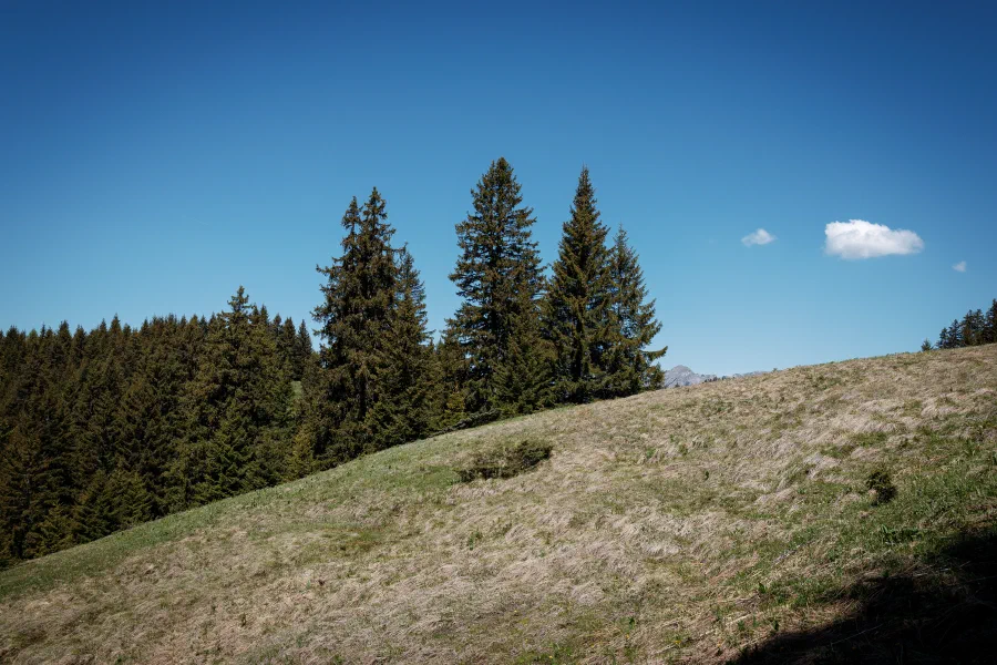 24052026-IMG_9403