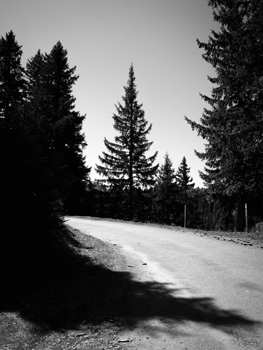 24052026-IMG_9406